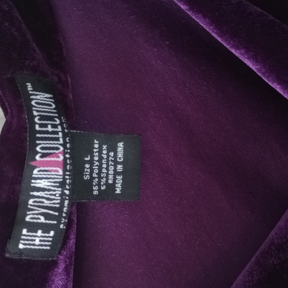 PYRAMID COLLECTION RENAISSANCE ELEGANT DEEP PURPLE VELVET MAXI DRESS SZ L - Picture 5 of 9